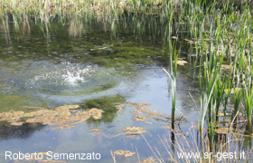 bild1
