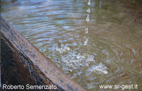 bild1