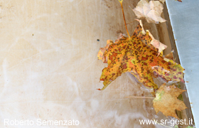 bild1