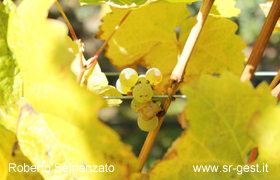 bild1